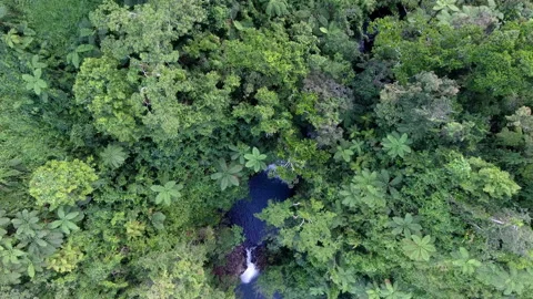Fiji 13 - Drone 4K 스톡 동영상 219379804