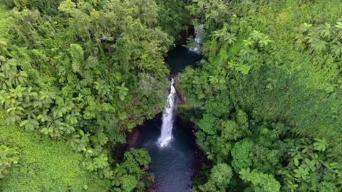 Fiji 14 - Waterfall - Drone 4K Stock Footage 219384239