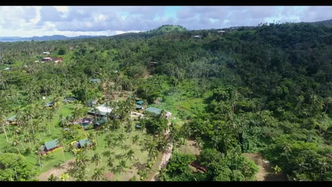 Fiji 18 - Drone 4K 스톡 동영상 219381839