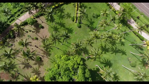 Fiji 19 - Drone 4K 스톡 동영상 219379098