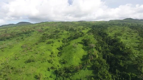 Fiji 27 - Drone 4K 스톡 동영상 219379350