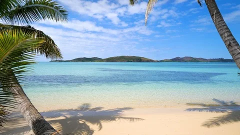 Fiji beach wit palm trees and crystal clear sea Stock Footage 101777332