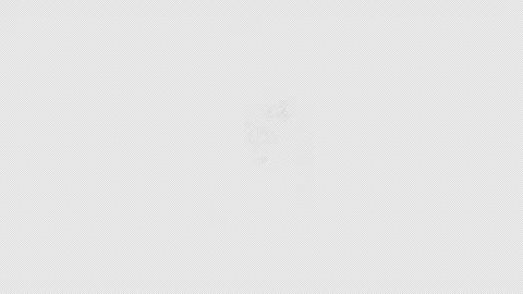 Fiji Country Line Map Self Drawing Animated Overlay, Alpha 4K 스톡 동영상 340288760