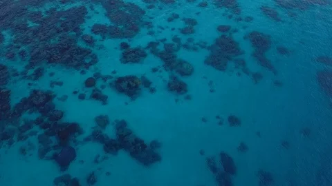 Fiji Drone Beach Video 動画素材 104245160