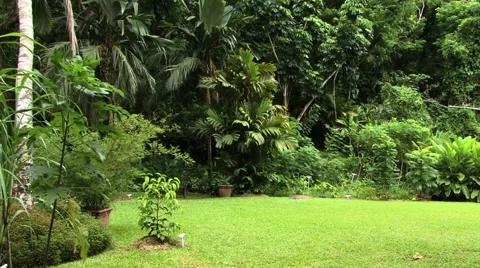 Fiji Garden Landscape Video stock 45267320