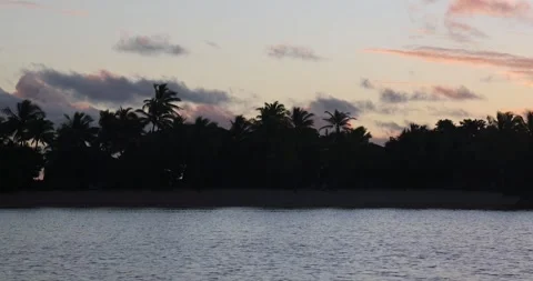 Fiji Island Stock Footage 336759029