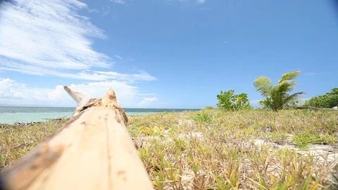 Fiji - Island Log Stock Footage 104921681