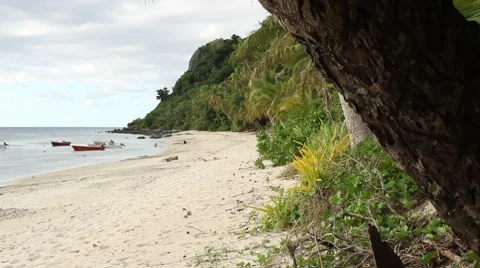 Fijian Beach Stock Footage 63231667
