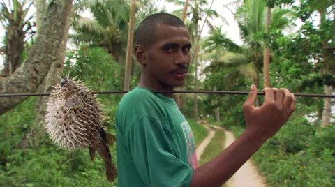 Fijian man with speared blowfish posing on jungle road Stock Footage 59536000