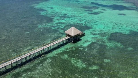 FijiJettyReefcloseup 스톡 동영상 266737878