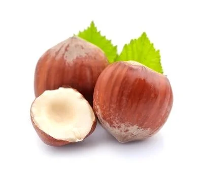 Filbert nuts with leaf. Stock Photos