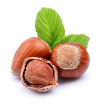 Filbert nuts with leaf Foto stock