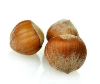 Filbert nuts Stock Photos