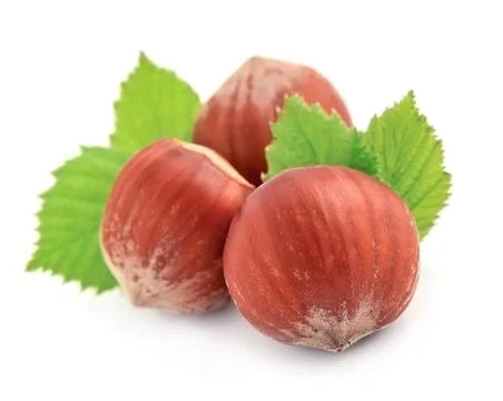 Filbert nuts . Stock Photos