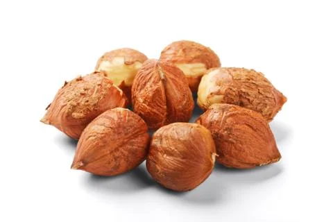 Filbert Stock Photos