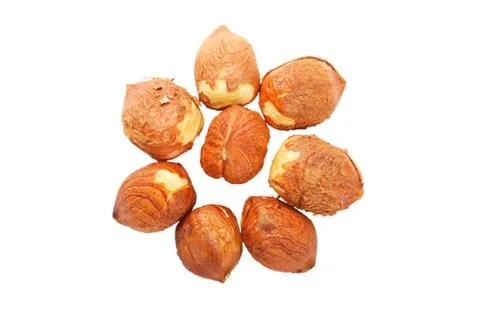 Filbert Stock Photos