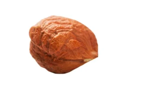 Filbert Stock Photos