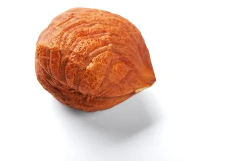 Filbert Stock Photos