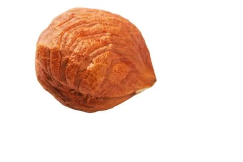 Filbert Stock Photos