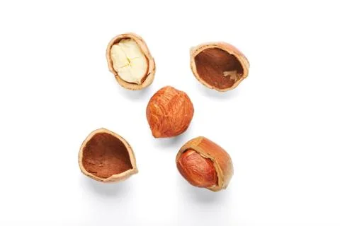 Filbert Stock Photos