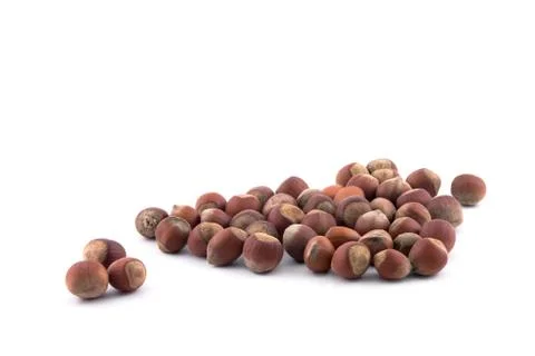 Filbert 스톡 사진