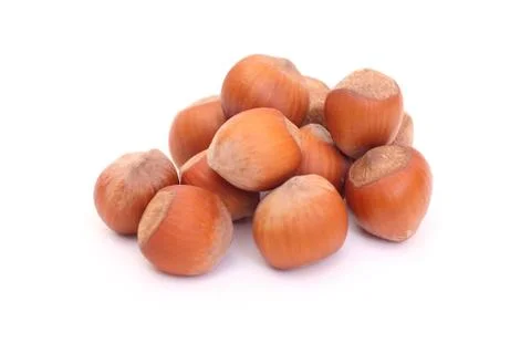 Filbert Stock Photos