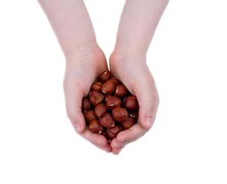 Filbert Stock Photos