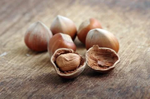 Filberts Stock Photos