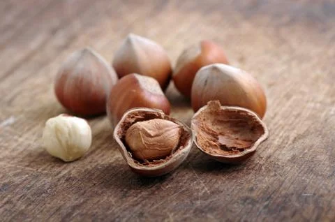 Filberts Stock Photos