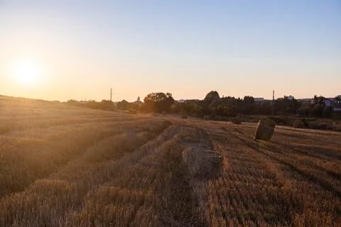 File (10) Stock Photos