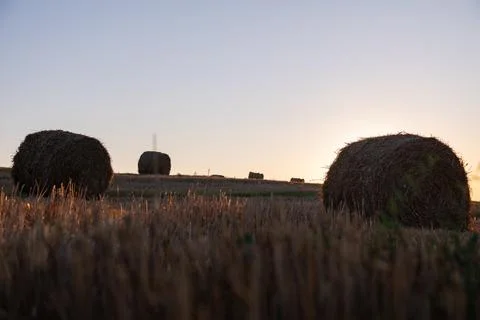 File (11) 库存照片