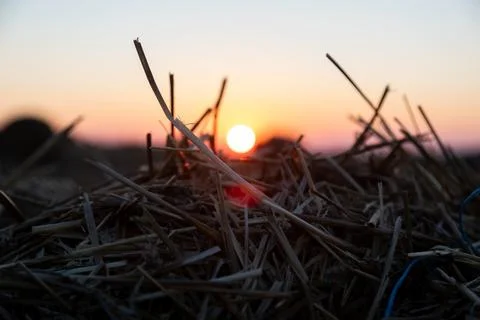 File (15) 库存照片