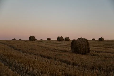 File (16) 库存照片