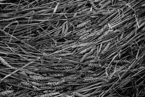 File (17) Stock Photos