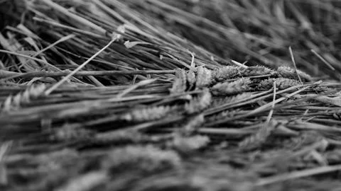 File (18) Stock Photos