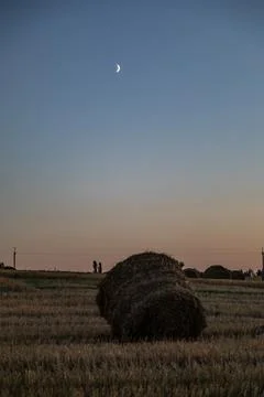 File (20) Stock Photos