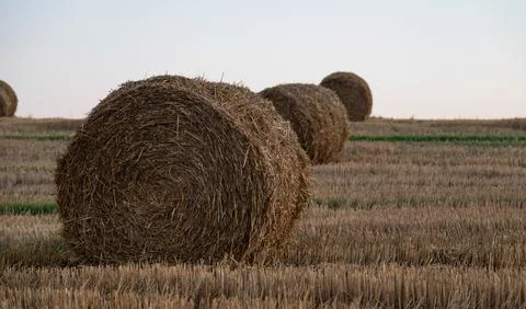 File (22) 库存照片