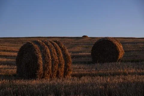 File (9) Stock Photos