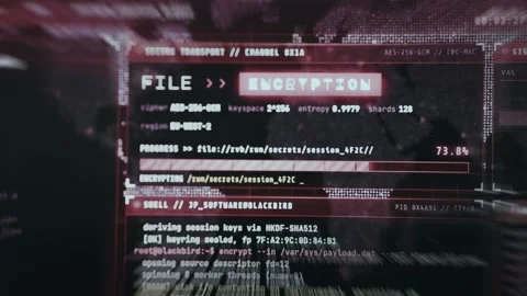 File encryption process with progress percentage and entropy levels Stock Footage 335449606