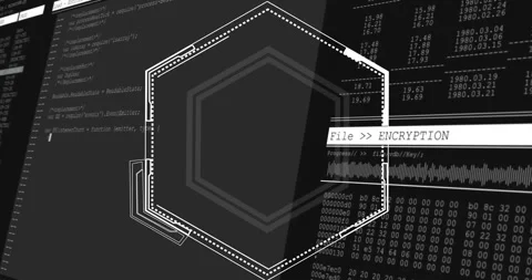 File encryption text animation over hexagonal shapes and binary code background Stock Footage 306636888