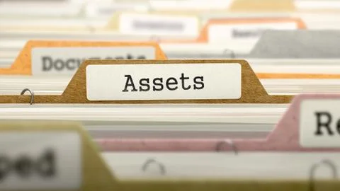 File Folder Labeled as Assets Stock Illustration