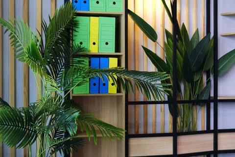 File folders for storing documents are on a wooden shelf in the office. Фото
