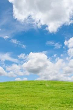 Filed and sky for background. Stock Photos