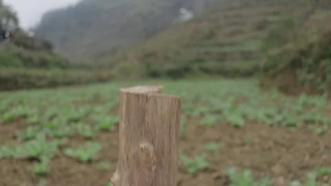 Filed View 스톡 동영상 154231702