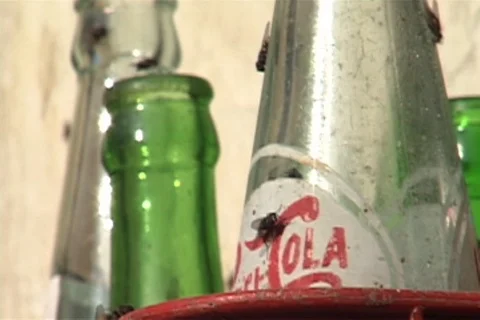 Files crawling on empty Pepsi-Cola bottles at outdoor restaurant. Stock Footage 86753348