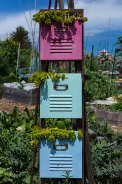Filing cabinet garden Stock Photos