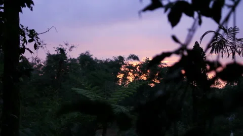 Filipino Sunset Video stock 6772962