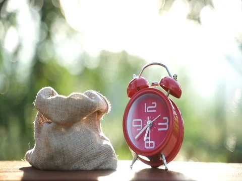 Fill the sacks with coins 스톡 동영상 101552091