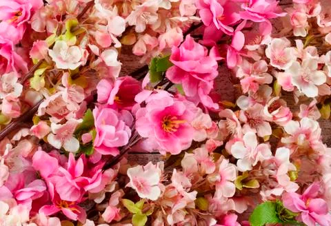 Filled frame of artificial cherry blossoms for spring time concept Stock-Fotos