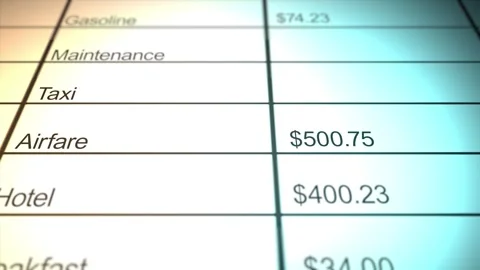 A Filled in Generic Expense Report for Corporation 库存影片 344395264